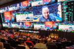 Circa Sports has new sportsbook director, but same sharp model