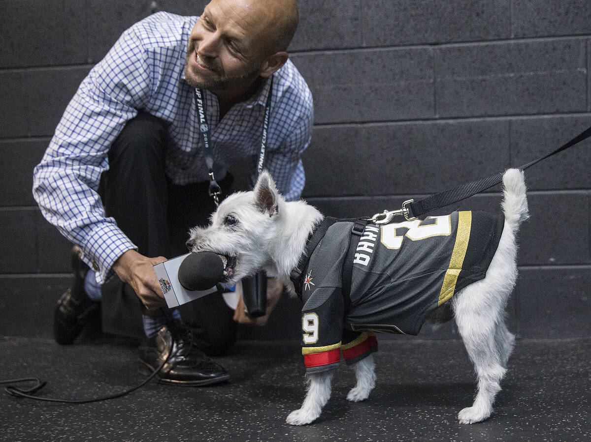 Steve Goldstein, with NBC Sports Radio, runs into some trouble trying to interview Bark Andre-F ...