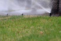 Lawn sprinklers are on to water grass at Green Valley Parkway on Tuesday, March 5, 2019, in Hen ...