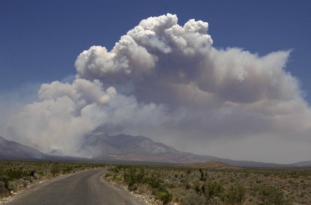 The Goodsprings fire which burned on Mount Potosi in the summer of 2005. (Review-Journal file)