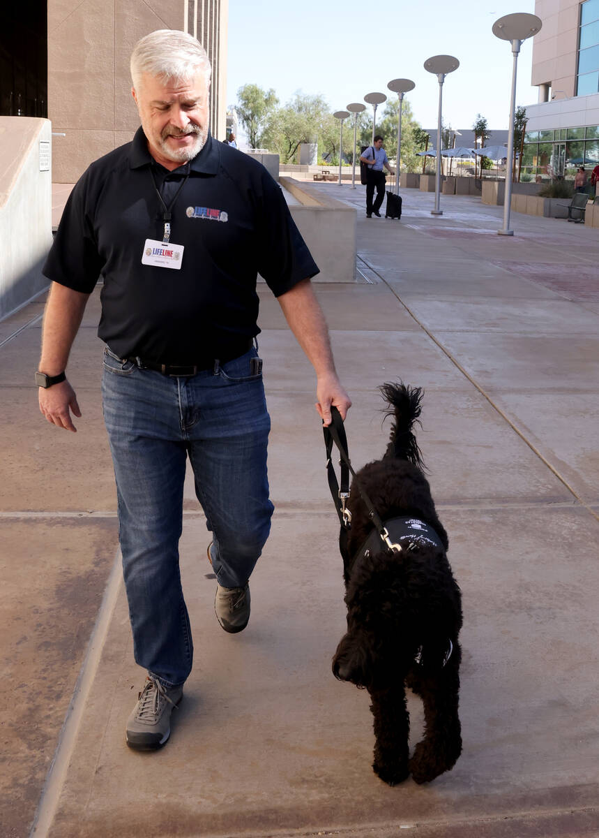 Brooklyn, a new therapy dog employed by the City of Henderson for first responders, with Public ...