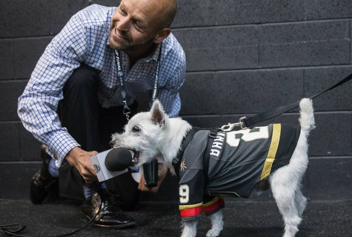Steve Goldstein, with NBC Sports Radio, tries to interview Bark Andre-Furry during practice at ...