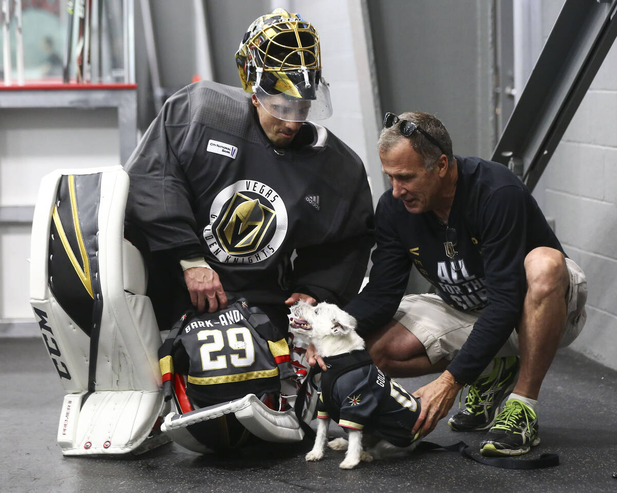 VGK fan favorite therapy dog Bark-Andre Furry dies at 14