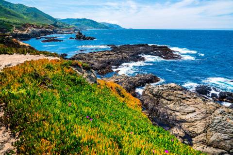Spring time sunny day bring life to the Northern California coastline near Monterrey and Santa ...