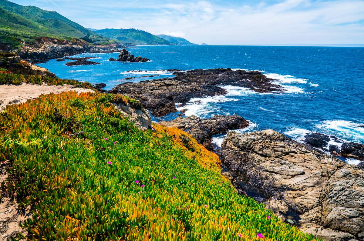 Spring time sunny day bring life to the Northern California coastline near Monterrey and Santa ...