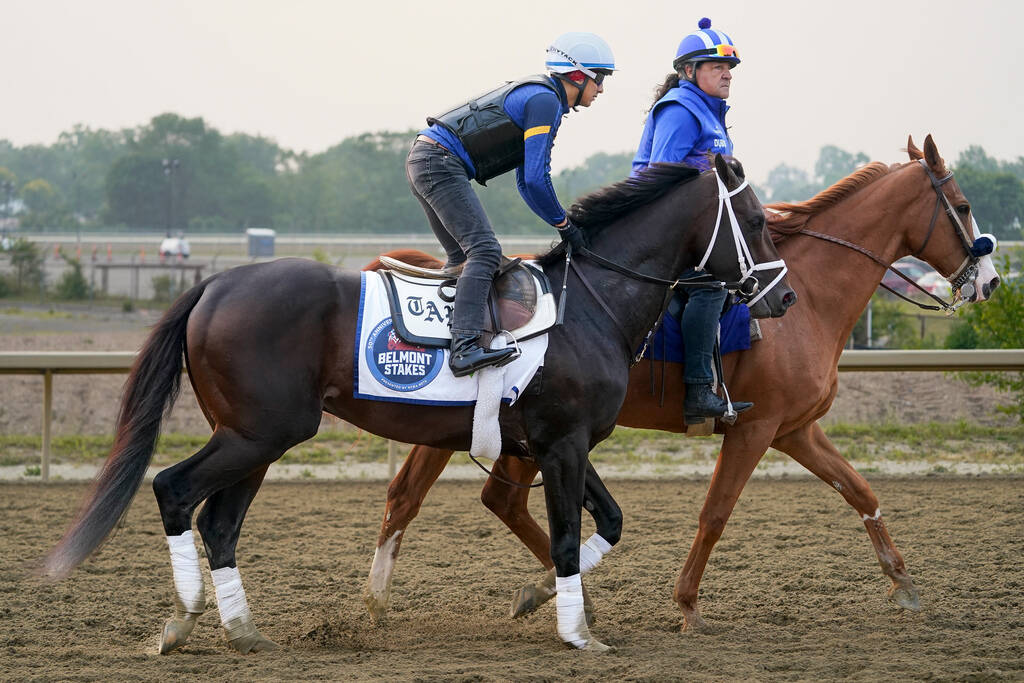 Odds, horsebyhorse analysis for Belmont Stakes RT News Today