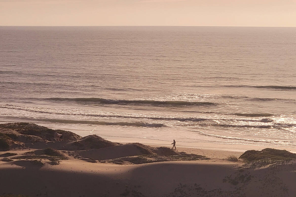 As seen from the Pacific Surfliner, a beachgoer takes a walk along a lengthy stretch of Califor ...