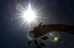 ‘Dangerous temperatures’: Las Vegas among fastest-warming US cities