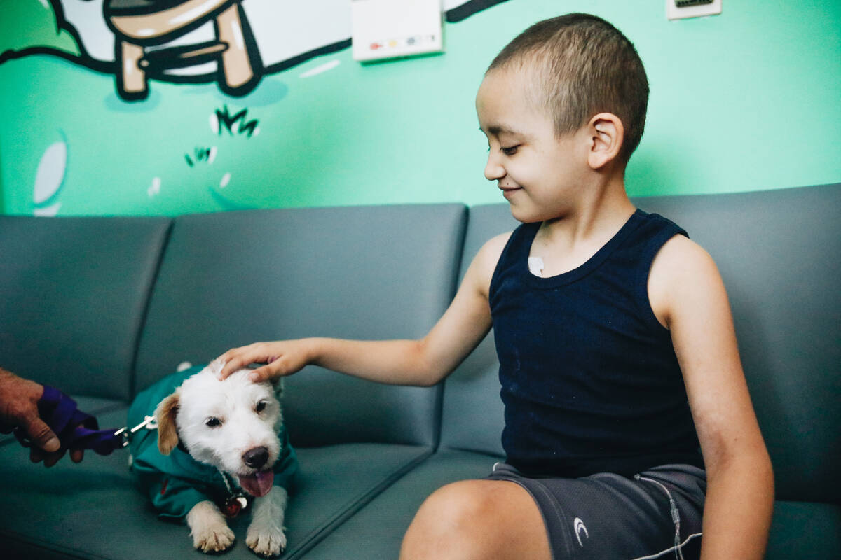 Alex Gonzalez, 7, pets Deke Henri Furry on Friday, June 9, 2023, at Summerlin Hospital in Summe ...