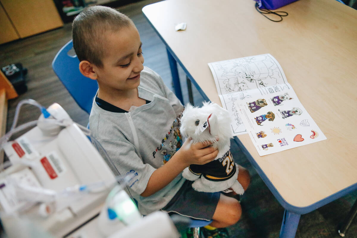 Alex Gonzalez, 7, looks at his new Bark Andre Fury plushie on Friday, June 9, 2023,at Summerlin ...
