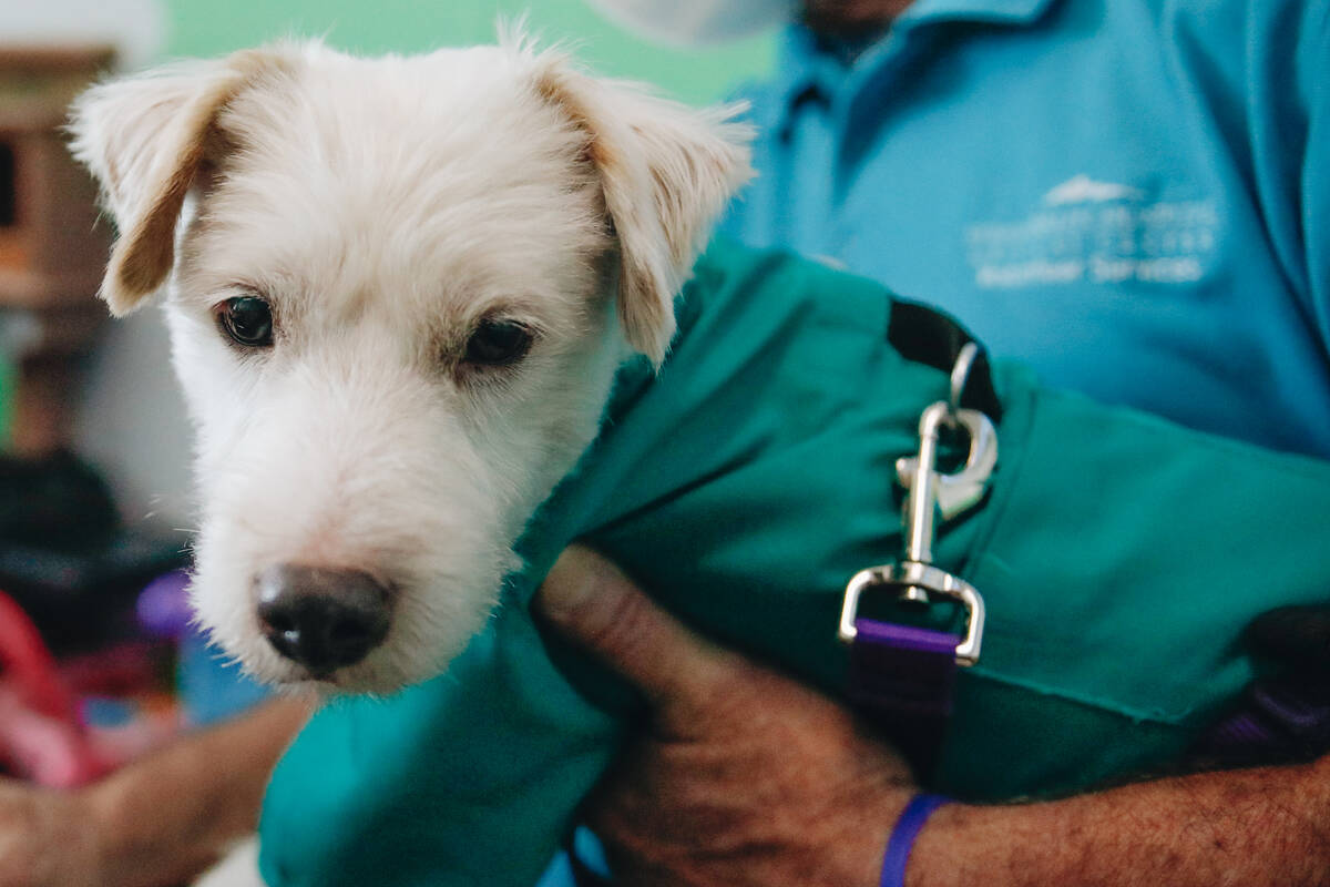 Deke Henri Furry is seen on Friday, June 9, 2023, at the Summerlin Hospital in Summerlin. (Made ...