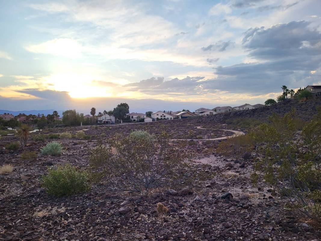 Sonata Park's desert trail area, which finished construction in 2021. (Mark Credico)