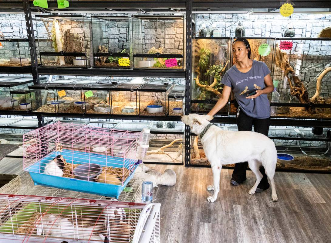 Stephanie Tracy, a co-owner of Wild Things, the exotic animal store, poses for a photo with her ...