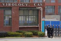 FILE - Security personnel gather near the entrance of the Wuhan Institute of Virology during a ...