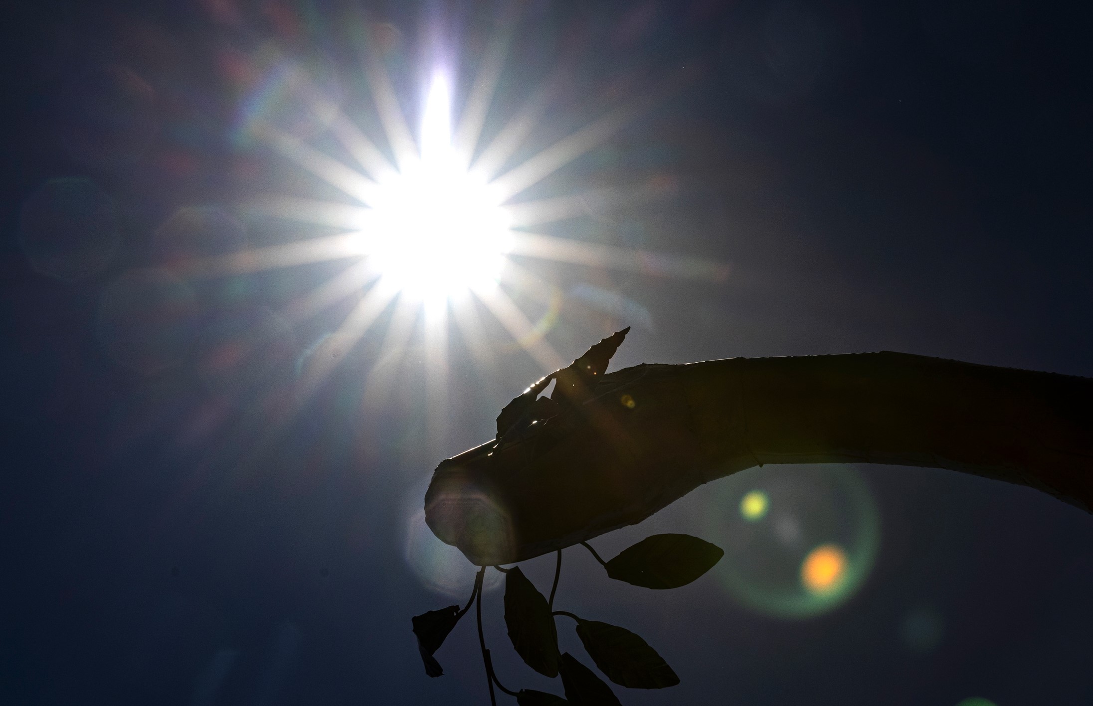 Las Vegas weather for Thursday, June 1, 2023 | Las Vegas Review-Journal - Vimarsana News
