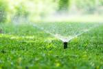 Las Vegas needs to save water. It won’t find it in lawns.