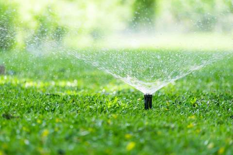 Las Vegas needs to save water. It won't find it in lawns.