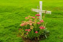 A green/natural burial minimizes the environmental impact by forgoing the embalming chemicals, ...