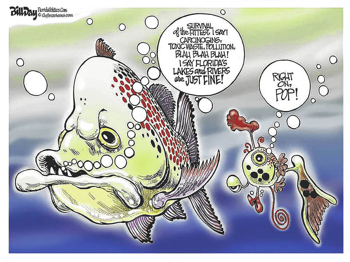 Bill Day FloridaPolitics.com