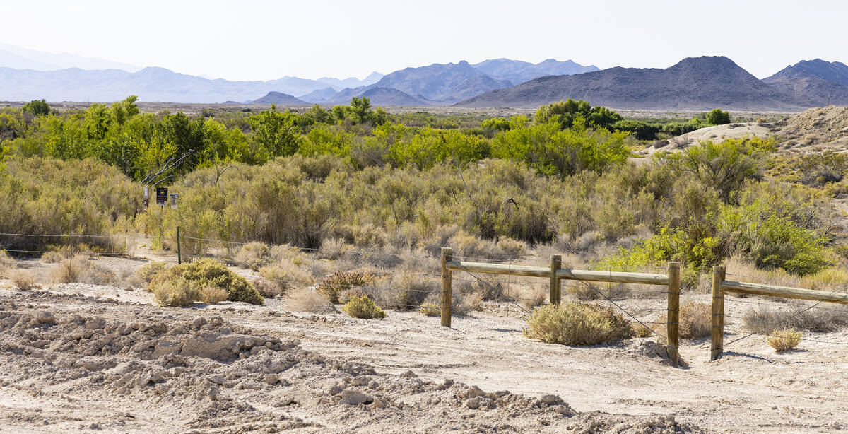 Ash Meadows National Wildlife Refuge is seen in the Amargosa Valley of southern Nye County, on ...