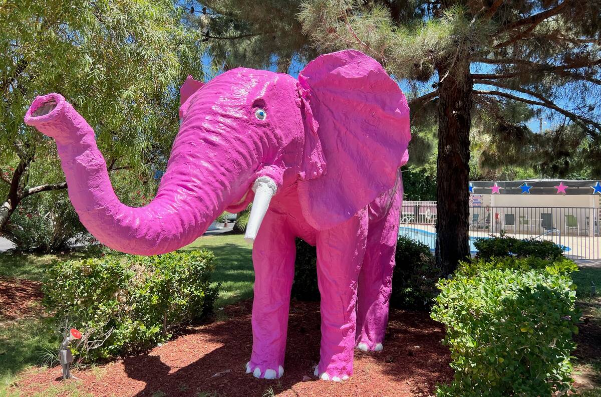 This pink elephant has stood outside what's now known as the Diamond Inn Motel since at least 1 ...