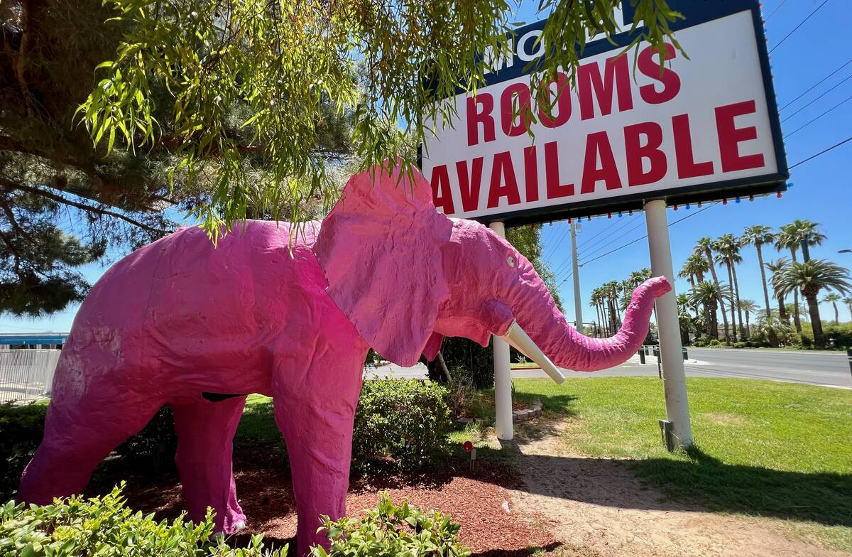 This pink elephant has stood outside what's now known as the Diamond Inn Motel since at least 1 ...
