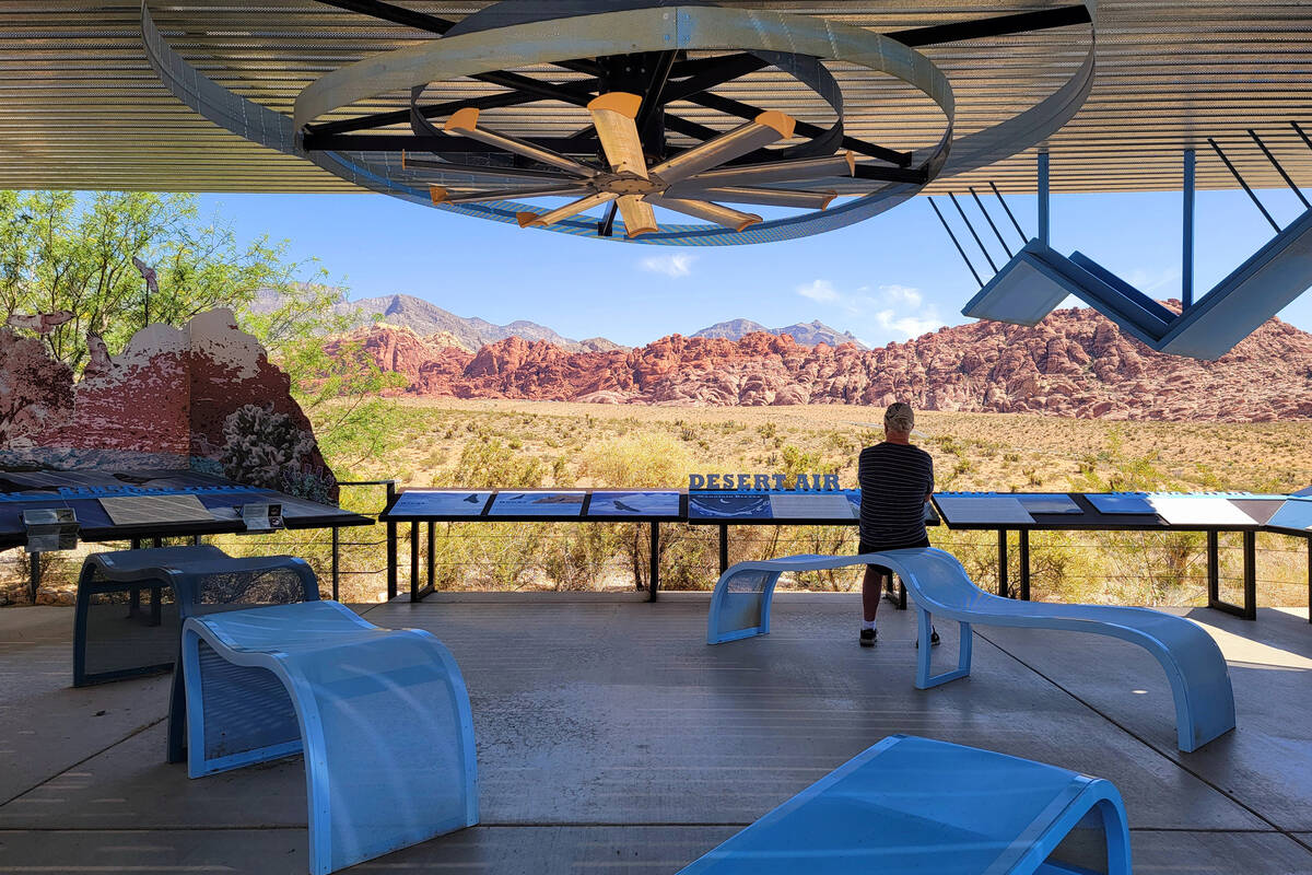 A visitor to Red Rock Canyon National Conservation Area takes in the late June view from an out ...