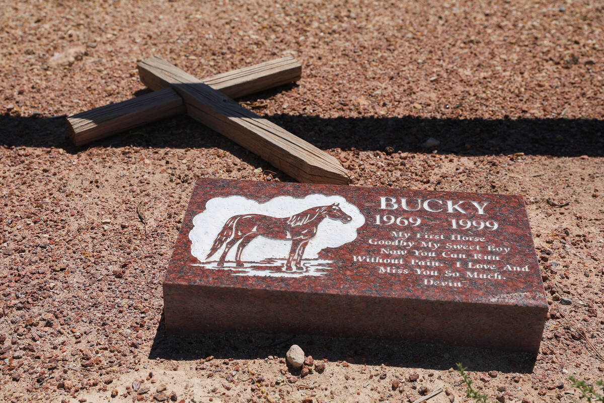 Horses and other animals are buried at the Craig Road Pet Cemetery, as seen on Friday, June 30, ...