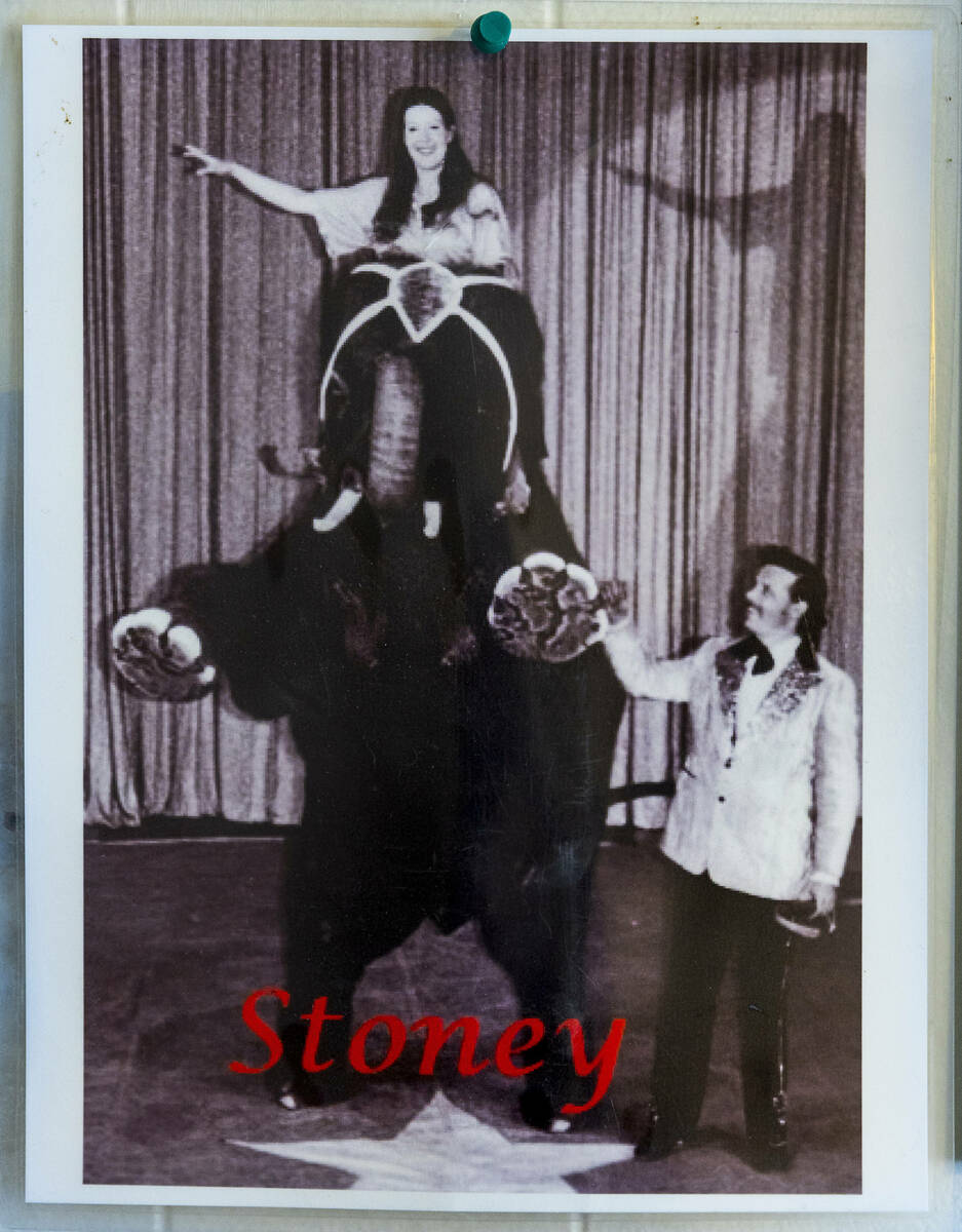 Image of Stoney the Elephant at Craig Road Pet Cemetery on Wednesday, July 12, 2023, in Las Veg ...