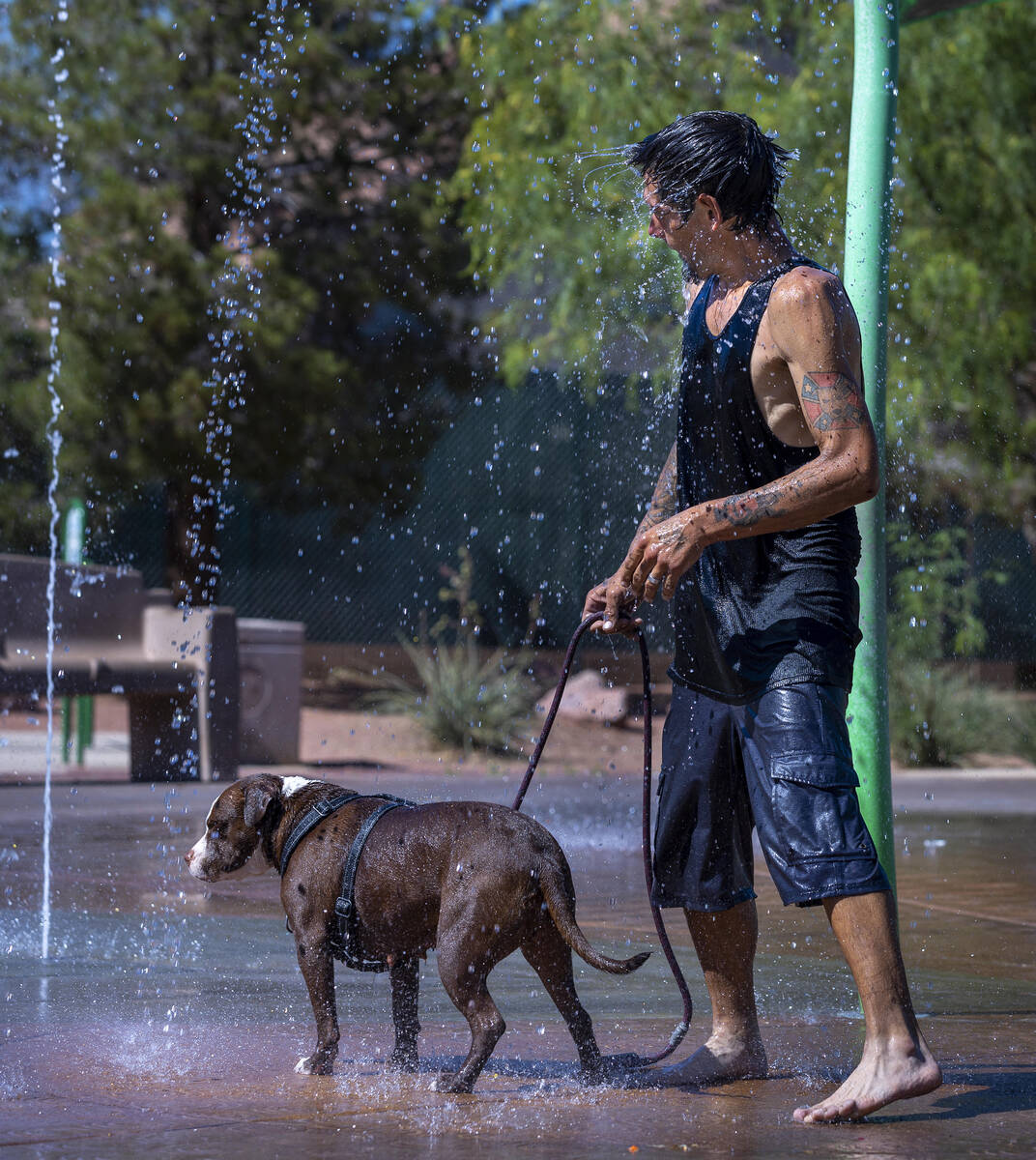 Robert Fralick and his dog Koko cool off from the heat is the fountains at Bill Briare Park as ...
