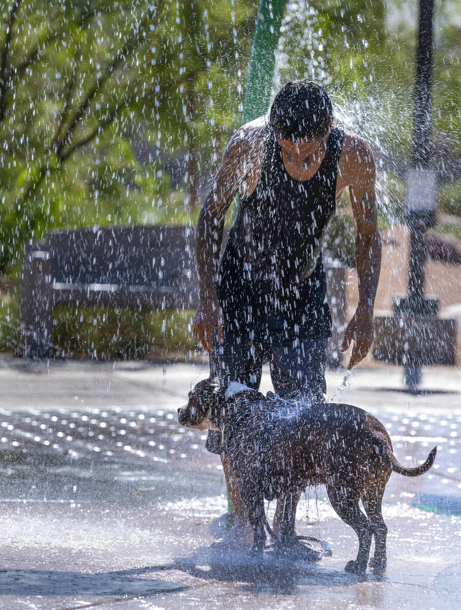 Robert Fralick and his dog Koko cool off from the heat is the fountains at Bill Briare Park as ...