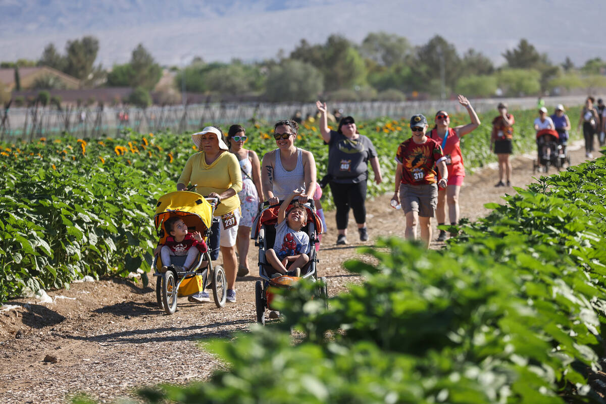 Participants walk at Gilcrease Orchard on Mother’s Day in Las Vegas, Sunday, May 14, 2023. (R ...
