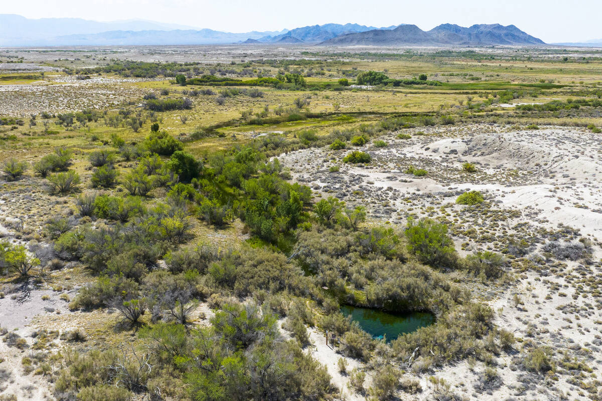 An aerial view of Fairbanks Spring at Ash Meadows National Wildlife Refuge, in the Amargosa Val ...