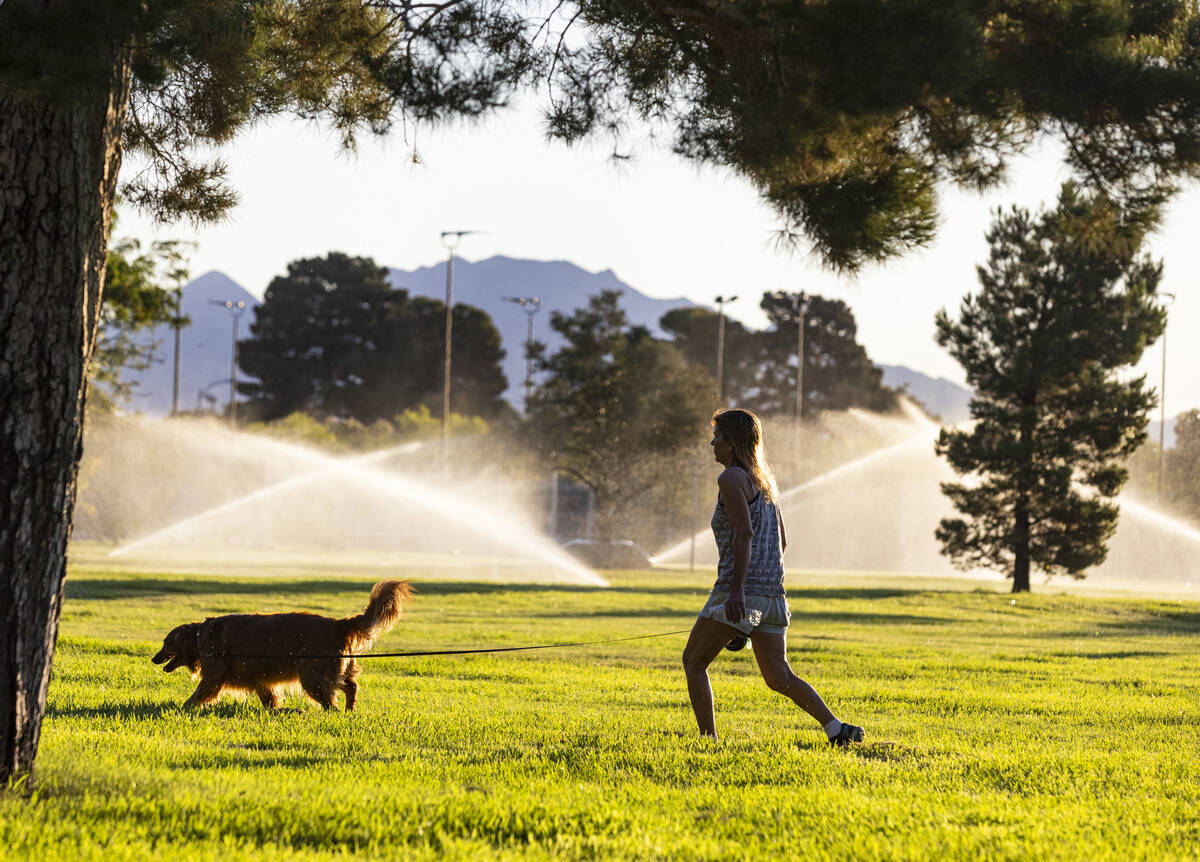 A woman walks her dog as sprinklers spray water on green space at Sunset Park on Thursday, July ...