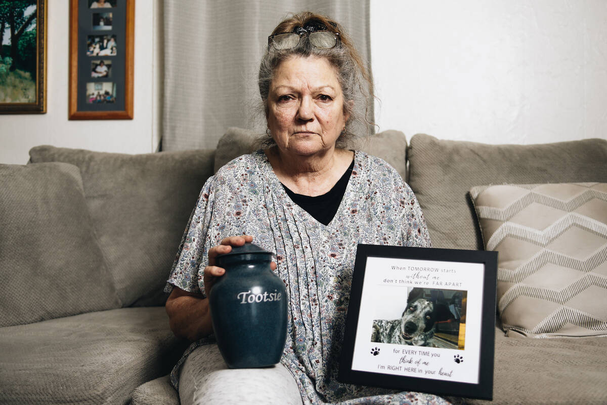 Nevada veterinary board keeps owner in the dark about dog's death - Vimarsana News