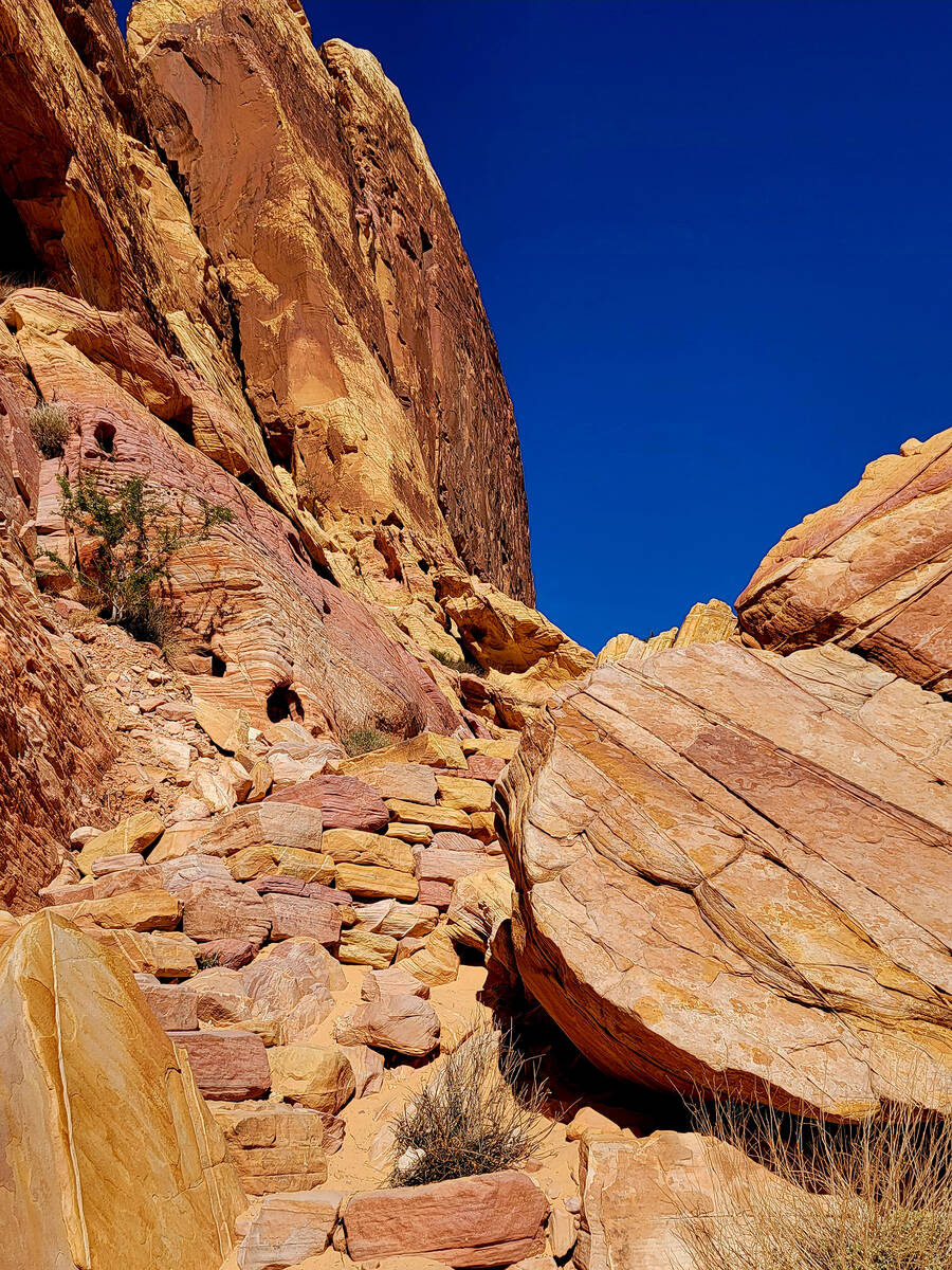 Rock steps lead up and down a steep section of Valley of Fire State Park’s White Domes L ...