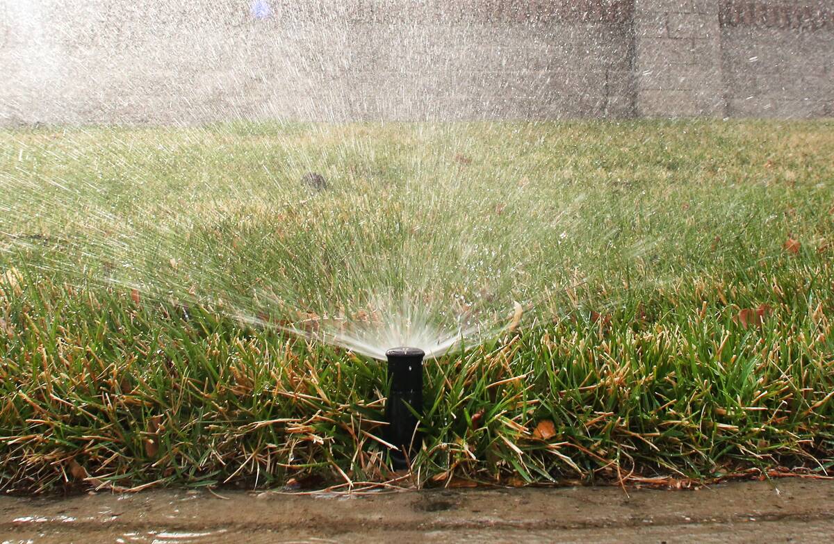 A sprinkler waters grass at Green Valley Parkway on Tuesday, March 5, 2019, in Henderson. (Bizu ...