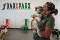 Wendy Scofield kisses her dog, Henry, while at a dog park party on Friday, July 28, 2023, at Ba ...