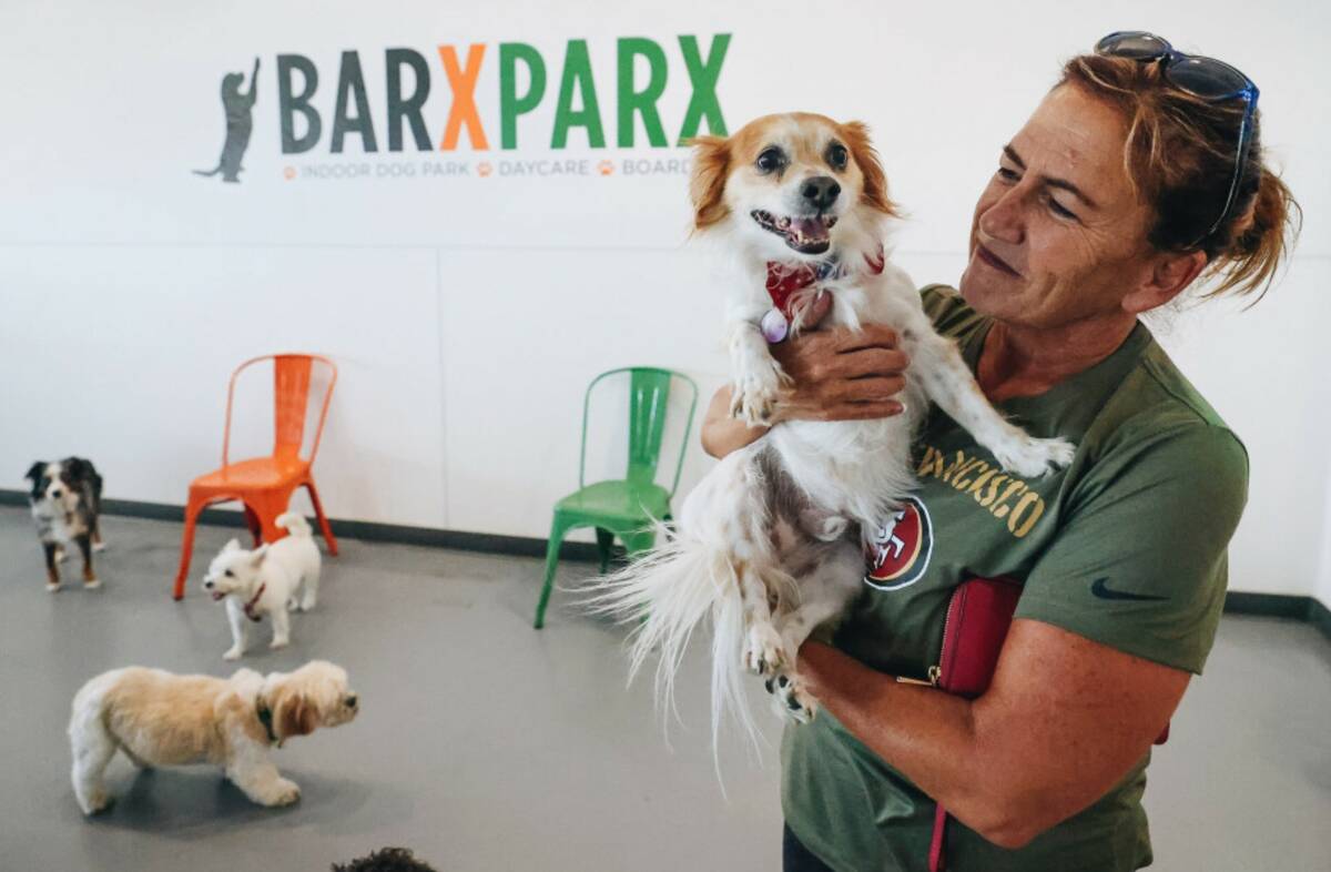 Wendy Scofield holds her dog, Henry, while at a dog park party on Friday, July 28, 2023, at Bar ...