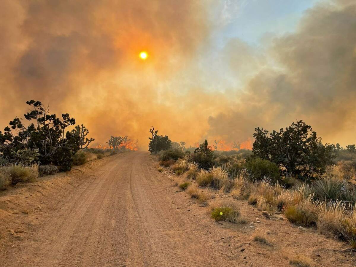 The York fire in Mojave National Preserve on Friday, July 28, 2023. (U.S. Park Rangers)