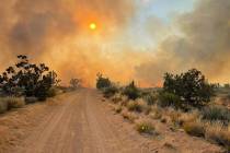 The York fire in Mojave National Preserve on Friday, July 28, 2023. (Mojave National Preserve)