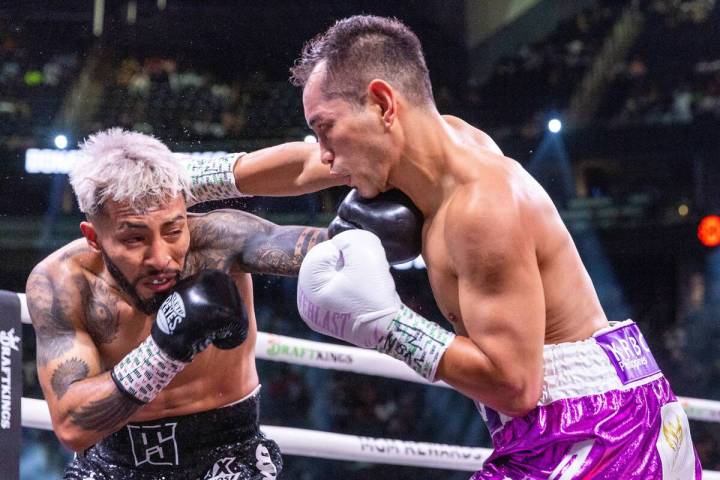Alexandro Santiago connects on the chin of Nonito Donaire in round 1 during a WBC world bantam ...
