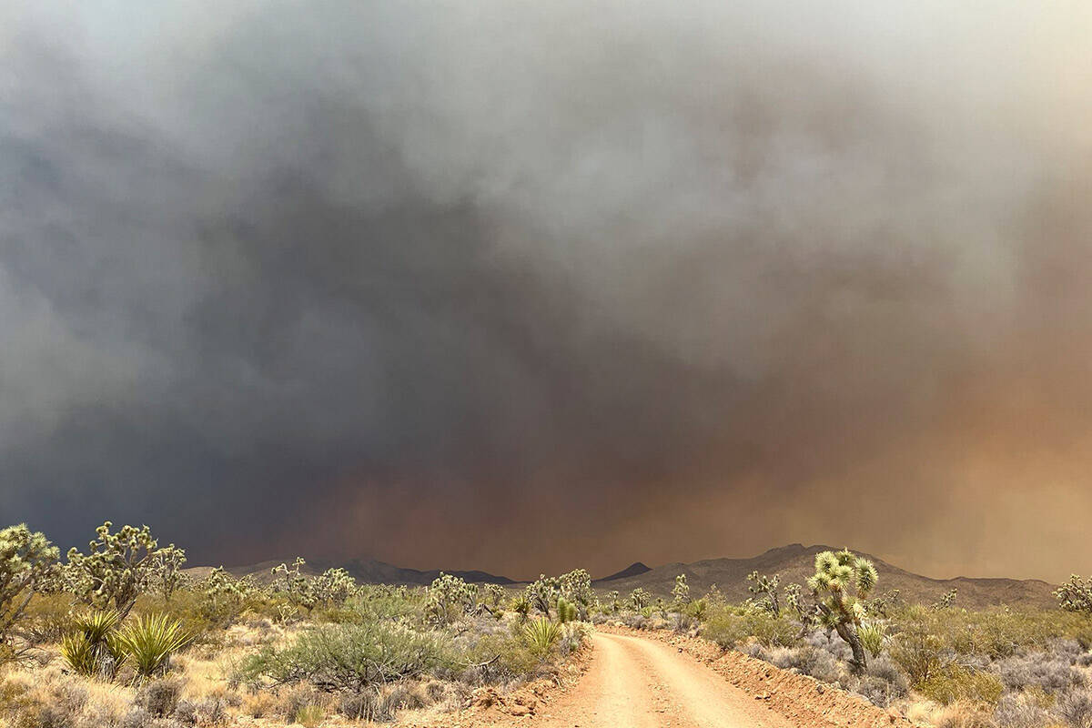 The York fire in Mojave National Preserve. (Clark County, Nevada)