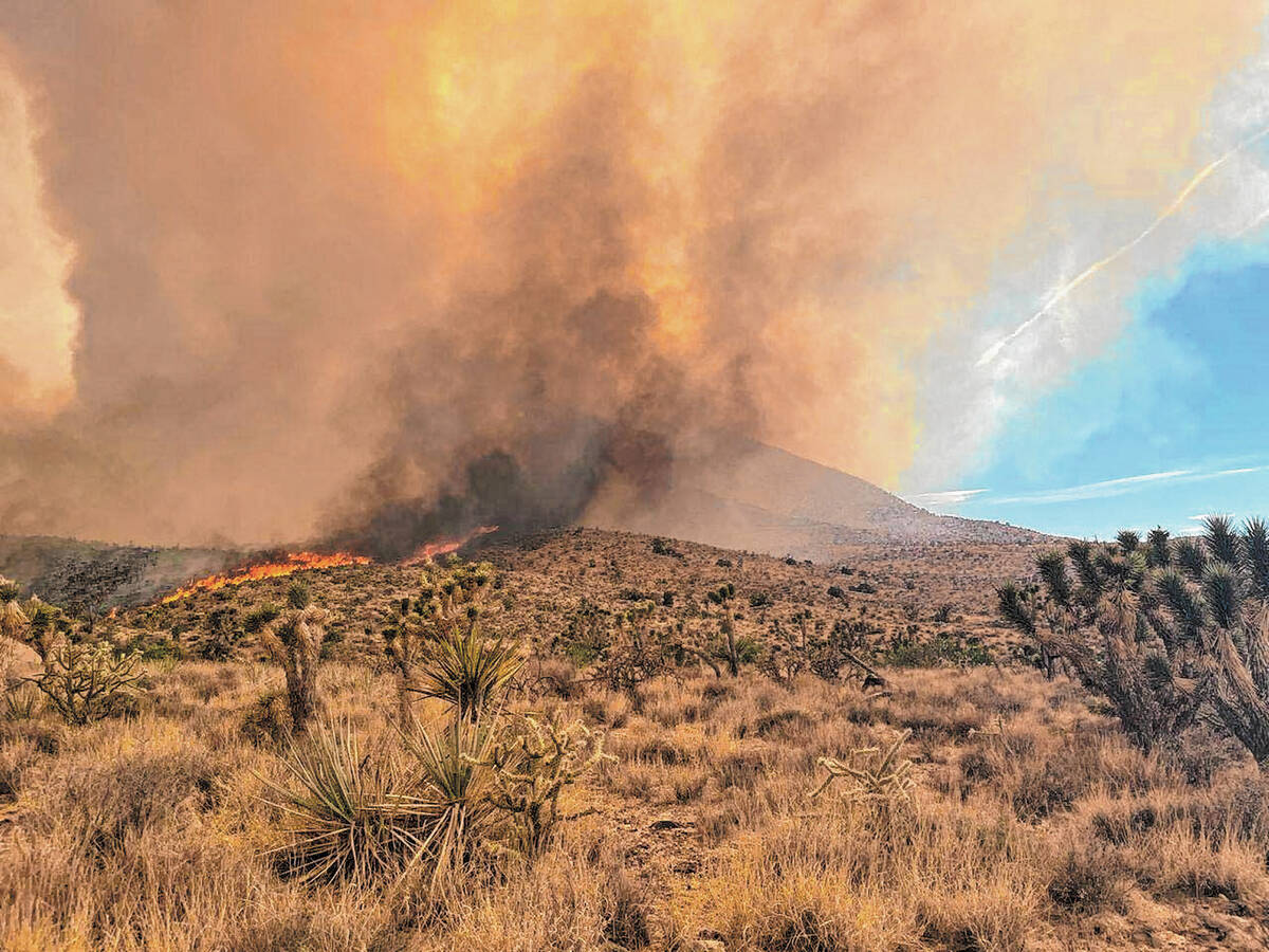 Erratic winds in the north end of the York fire on Saturday, July 29, 2023. (Mojave National Pr ...