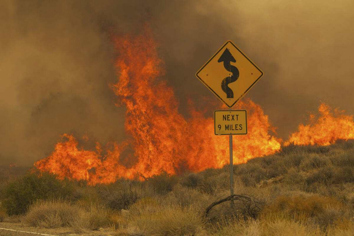 Flames rise from the York Fire on Ivanpah Rd. on Sunday, July 30, 2023, in the Mojave National ...