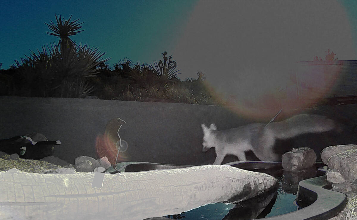 "Our art can look like anything, in any media," says Kim Garrison Means. "Because the story we ...