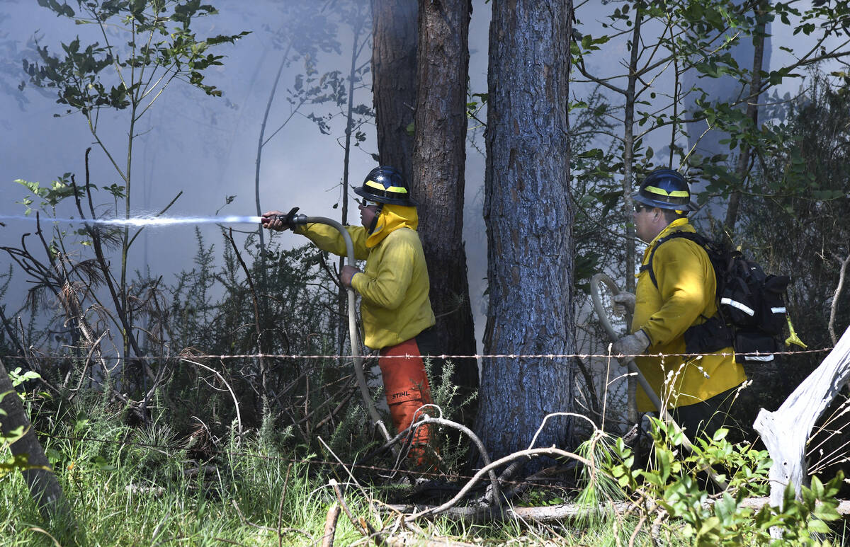 Members of a Hawaii Department of Land and Natural Resources wildland firefighting crew on Maui ...