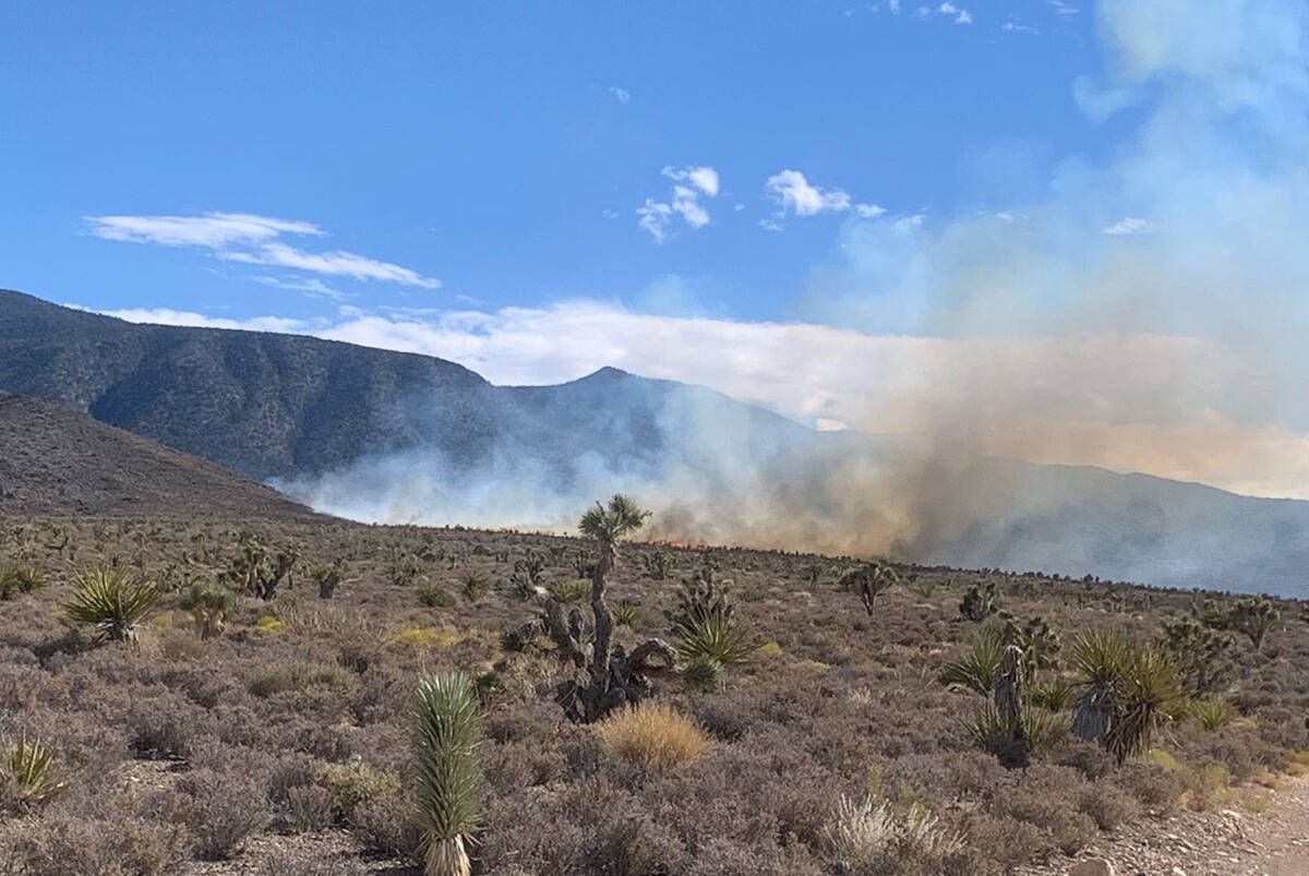 About 15 acres have burned in a wildfire in the northwest end of the Humboldt Toiyabe National ...