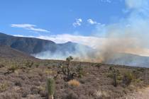 About 15 acres have burned in a wildfire in the northwest end of the Humboldt Toiyabe National ...