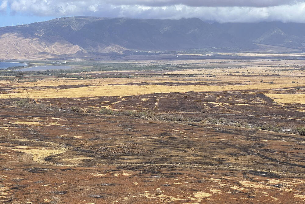 This photo provided by the Hawaii Department of Land and Natural Resources shows burnt areas of ...